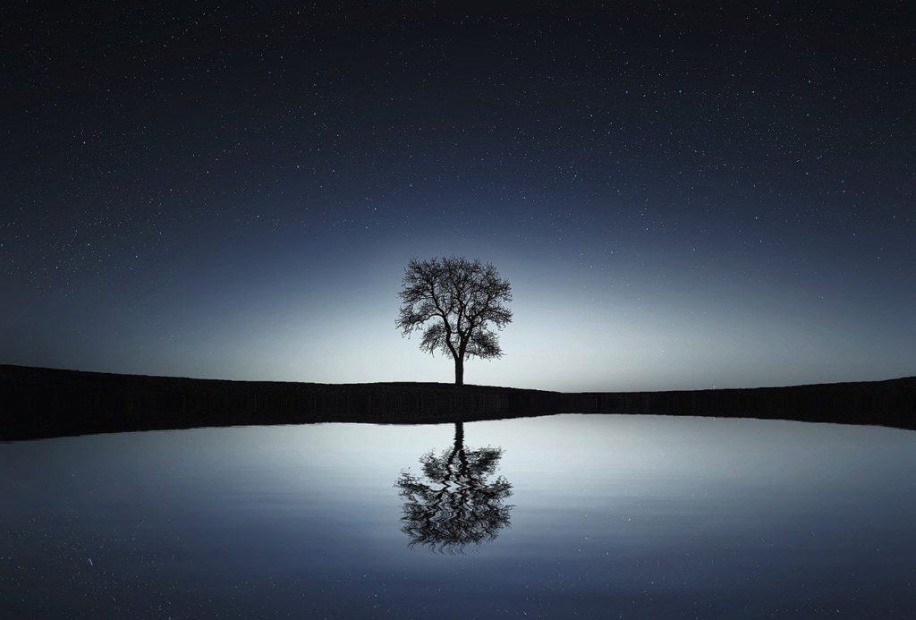 Lone tree reflected in a lake at night, the highs and lows of Bipolar Disorder, therapy in Ontario
